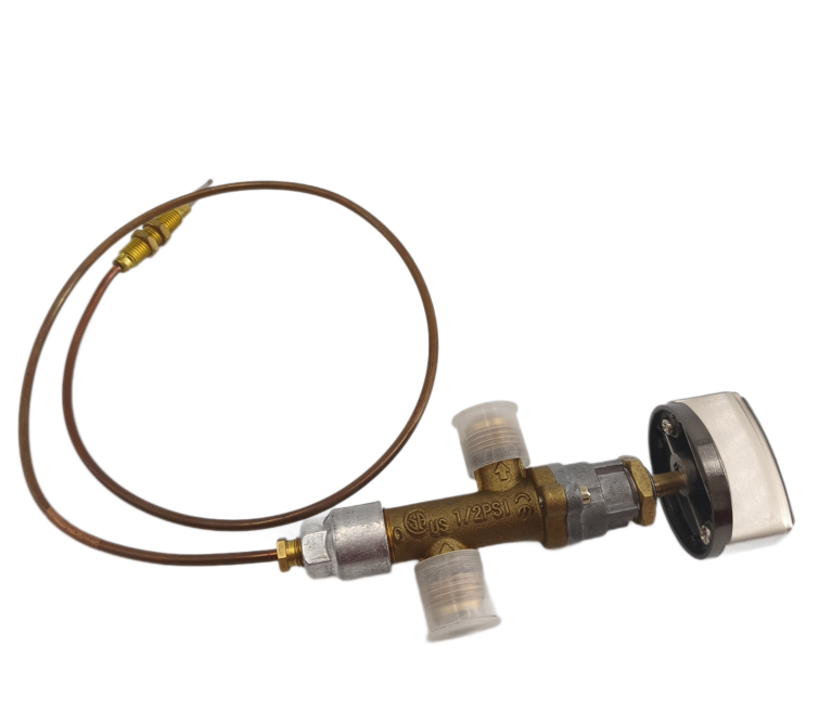 SINOPTS Устройство контроля пламени предохранительного клапана газа, клапан газового обогревателя газовой плиты