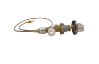 SINOPTS Устройство контроля пламени предохранительного клапана газа, клапан газового обогревателя газовой плиты